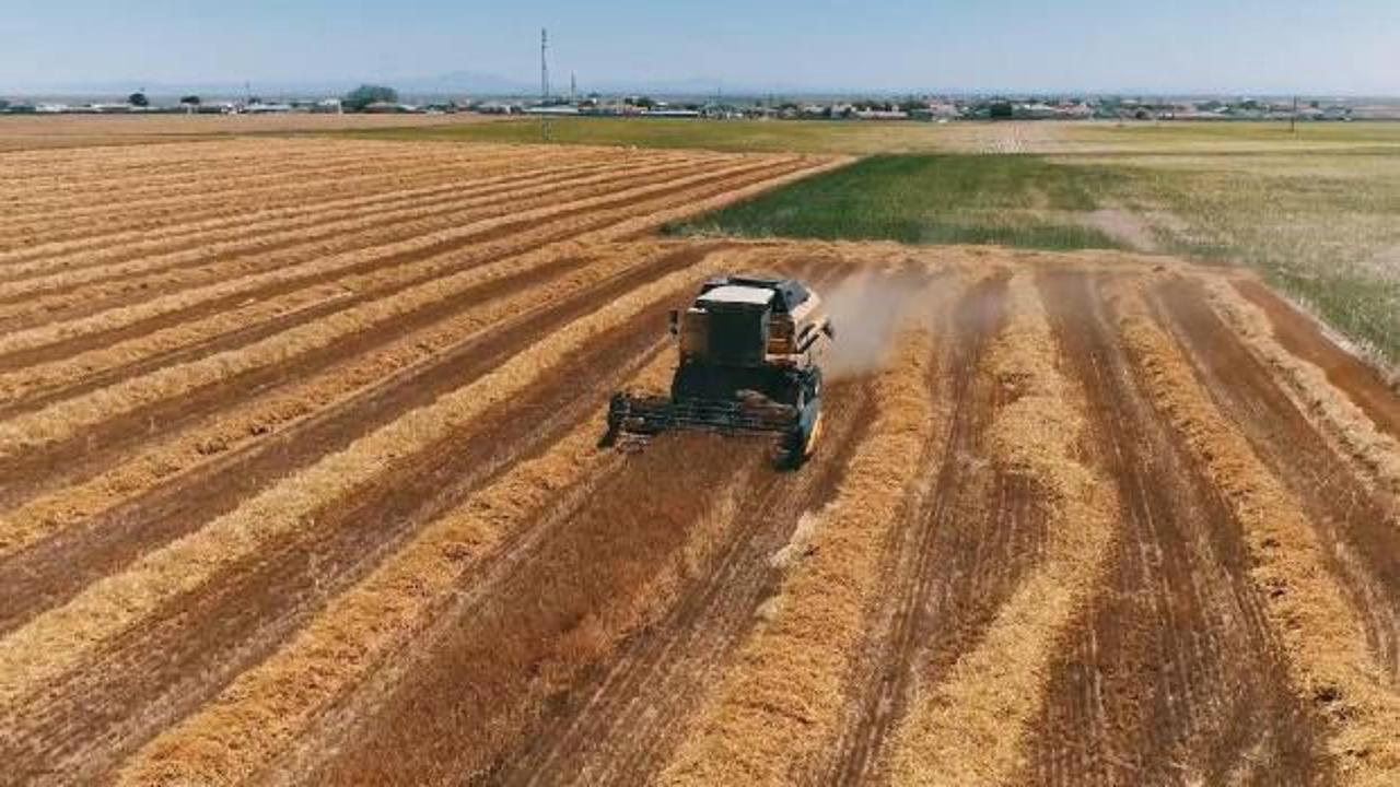 Tarım ÜFE haziranda aylık bazda 4,04 arttı