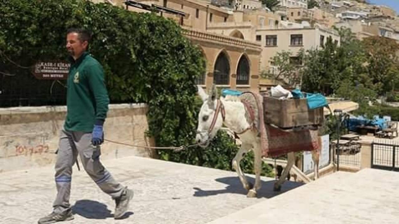 Mardin'de kadrolu eşeklerin mesaisi 5 saate indirildi
