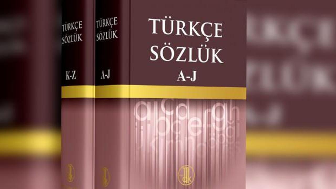 TDK, 'Türkiyeli' kelimesi nedeniyle kendi kararı hakkında inceleme başlattı