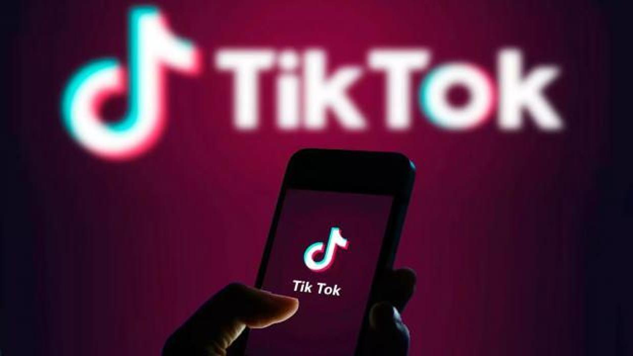 Seçim öncesi TikTok'ta 700 bin Türk hesap çalınmış