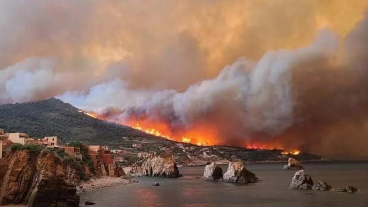 Cezayir'de orman yangınları: Ölü sayısı 34'e yükseldi
