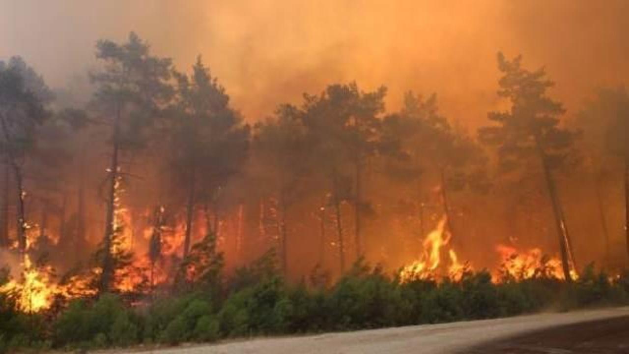 9 günde 148 orman yangını çıktı