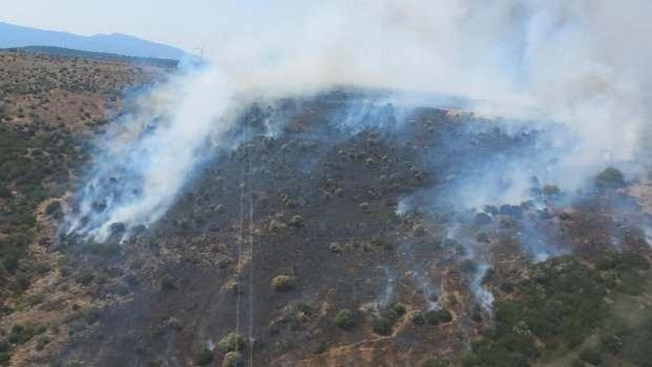 İzmir'de yangın: Havadan m&uuml;dahale başladı