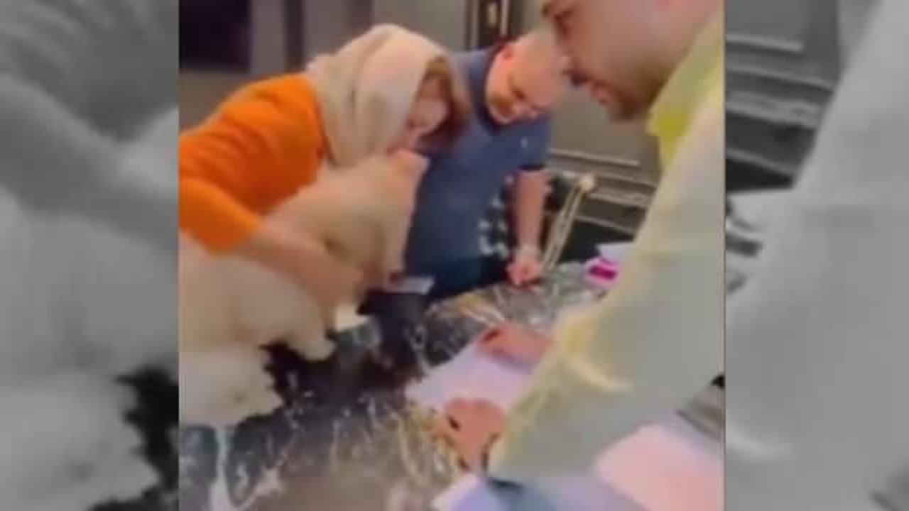 Köpeğe veren kadın