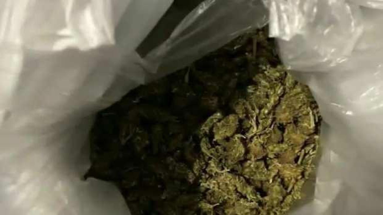 Gaziantep'te 26 kilogram skunk ele geçirildi