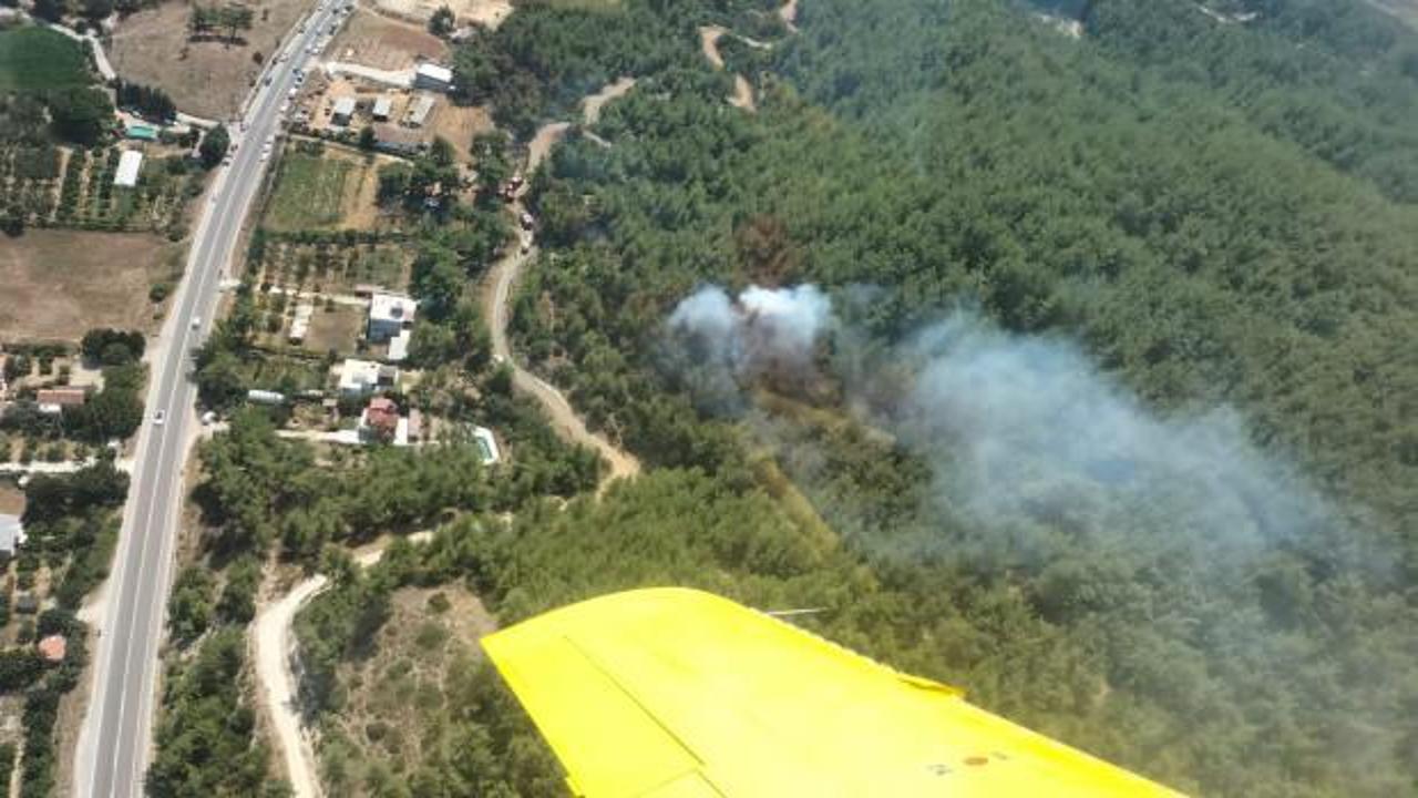 İzmir'de orman yangını kontrol altına alındı