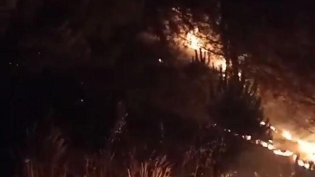 Karabük'te korkutan örtü yangını