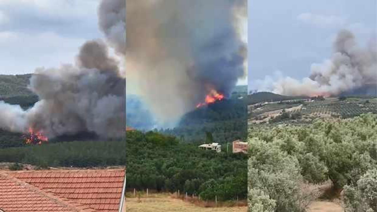 Bursa'da orman yangını! Vali bölgede