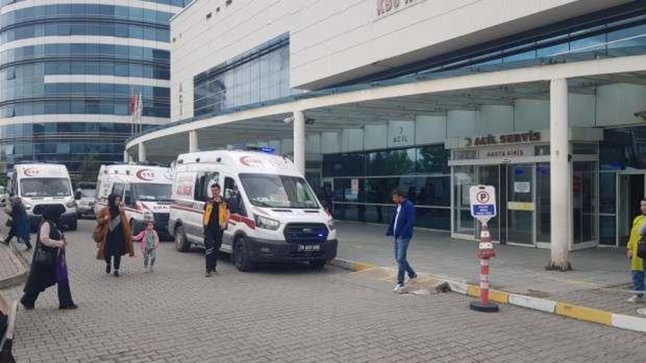 Domuz zannettiği yengesini av t&uuml;feğiyle vurdu