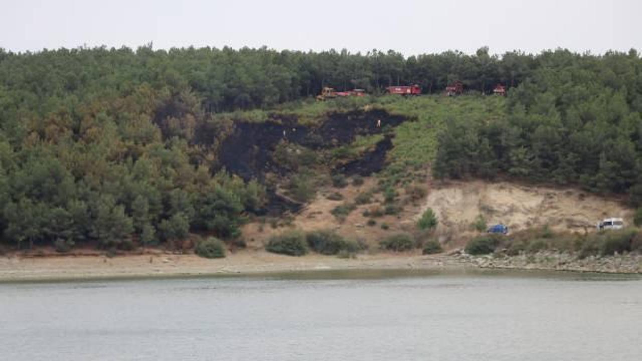 Edirne'deki orman yangını söndürüldü