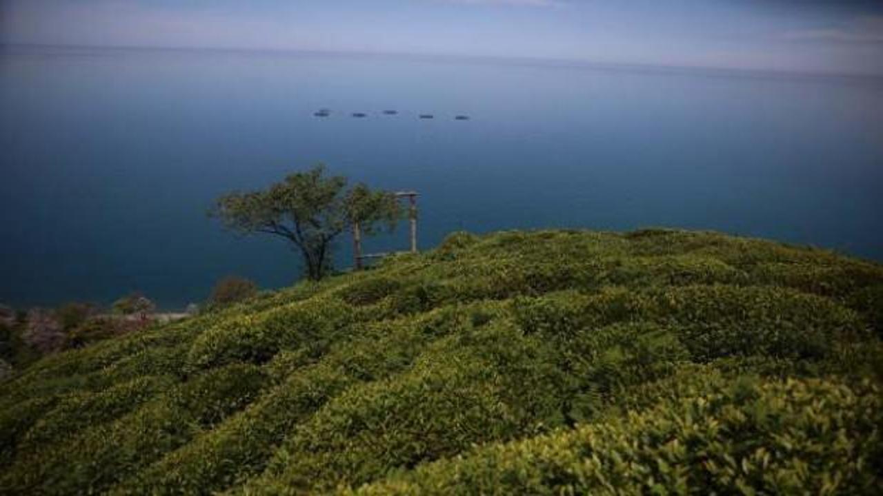 Karadeniz’de ‘buharlaşma’da artış tehlikesi