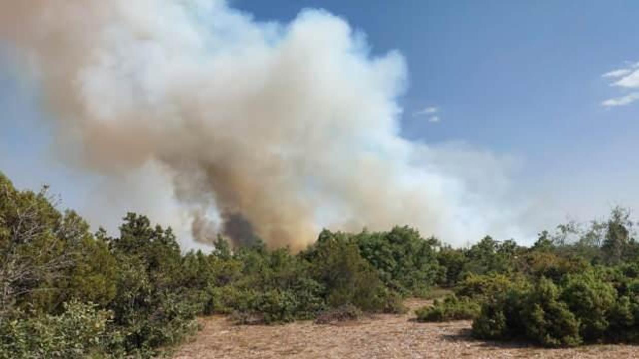 Kütahya ve Çanakkale'de orman yangını! 