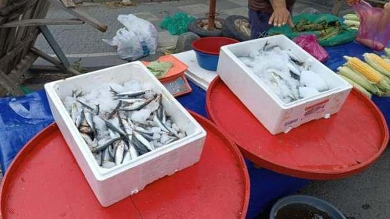 Balık fiyatları d&uuml;ş&uuml;şe ge&ccedil;ti