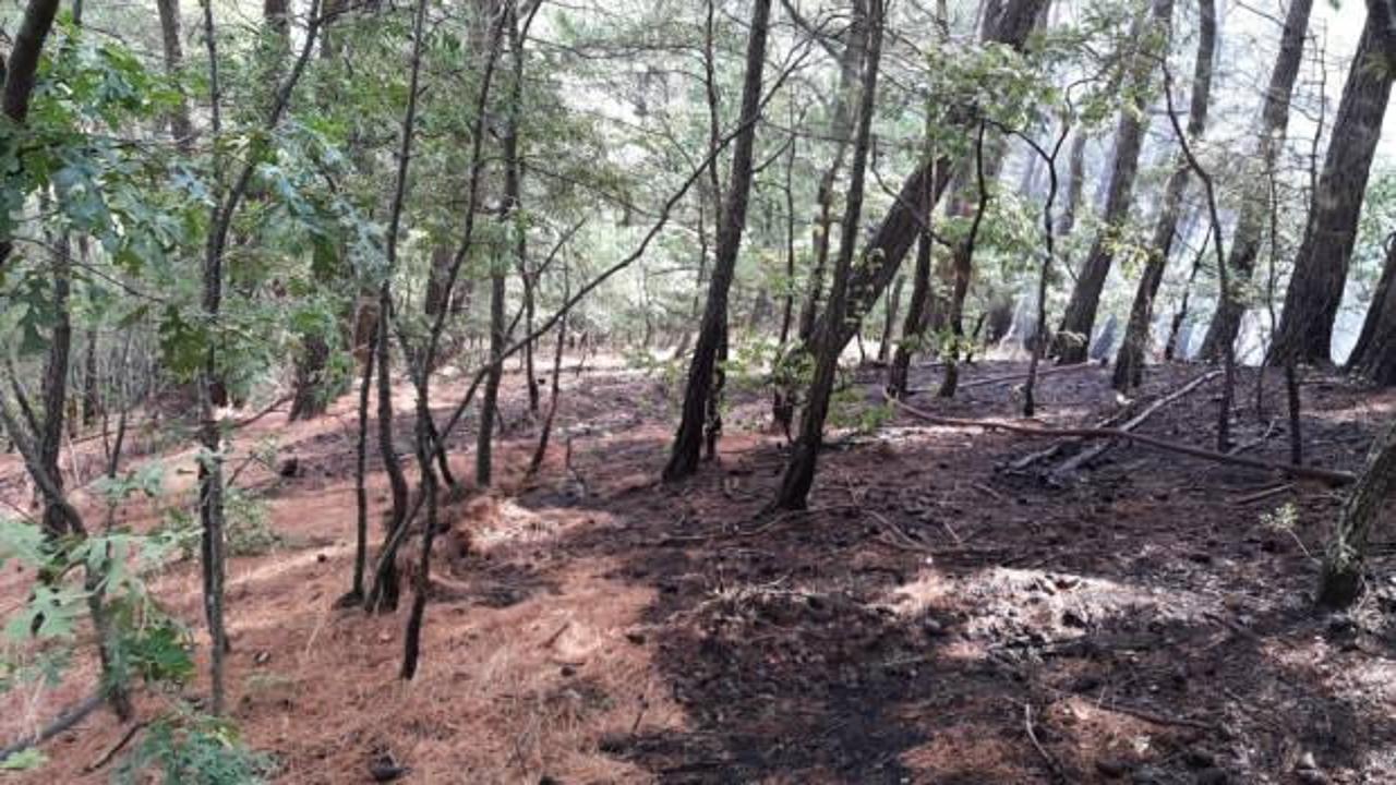 Kazdağları'ndaki orman yangını s&ouml;nd&uuml;r&uuml;ld&uuml;