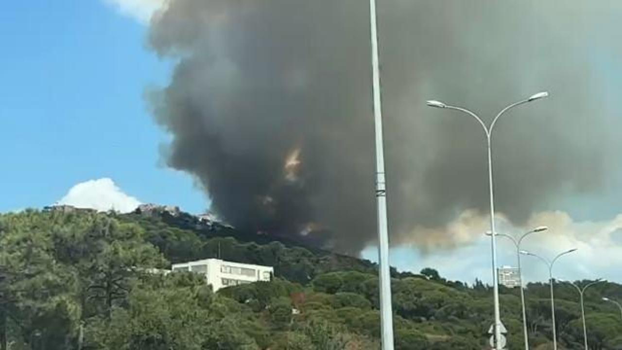 Maltepe'deki orman yangınıyla ilgili 2 kişi gözaltına alındı