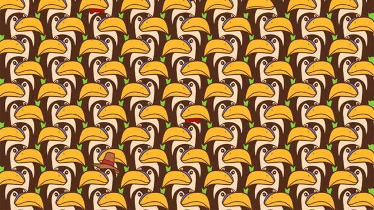 Optik illüzyon ile görsel IQ’nuzu test edin! Pelikanların arasında gizlenen pengueni arayanların sadece %5’i 9 saniye içerisinde görebiliyor