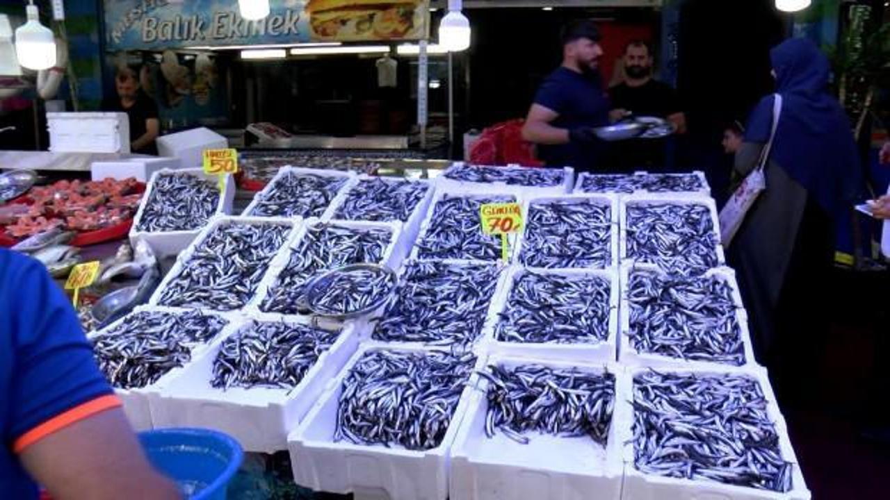 Rize'de hamsi bolluğu fiyatları d&uuml;ş&uuml;rd&uuml;