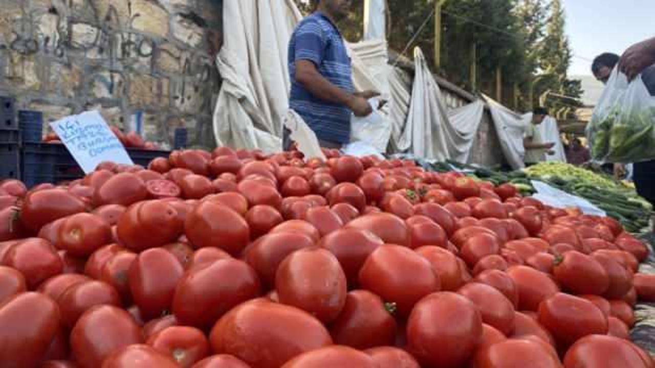 Sal&ccedil;alık domates ve biberler tezgahlarda