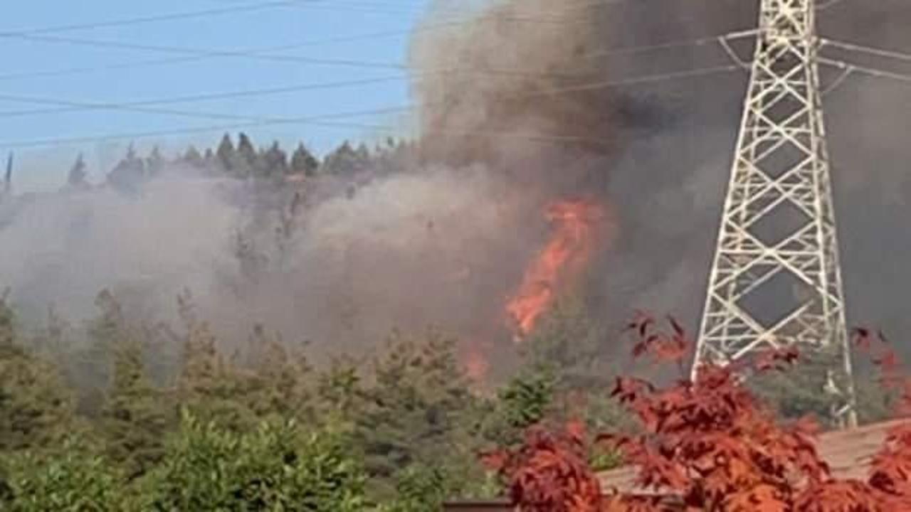 Bursa'da orman yangını! Alevler kontrol altında