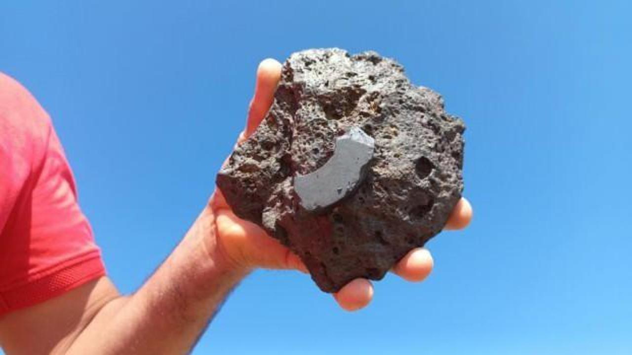 Hayvan otlatırken buldu, incelenmesini istiyor