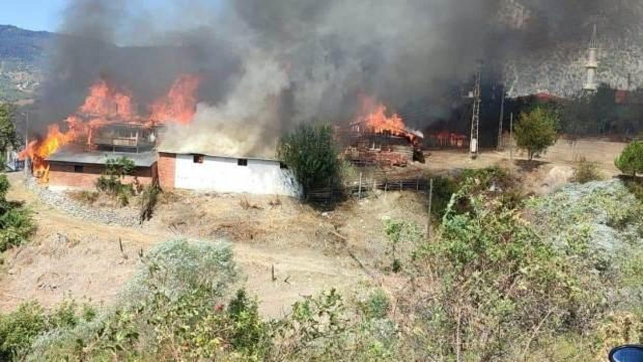 Kastamonu'da yangın: 10 ev yandı