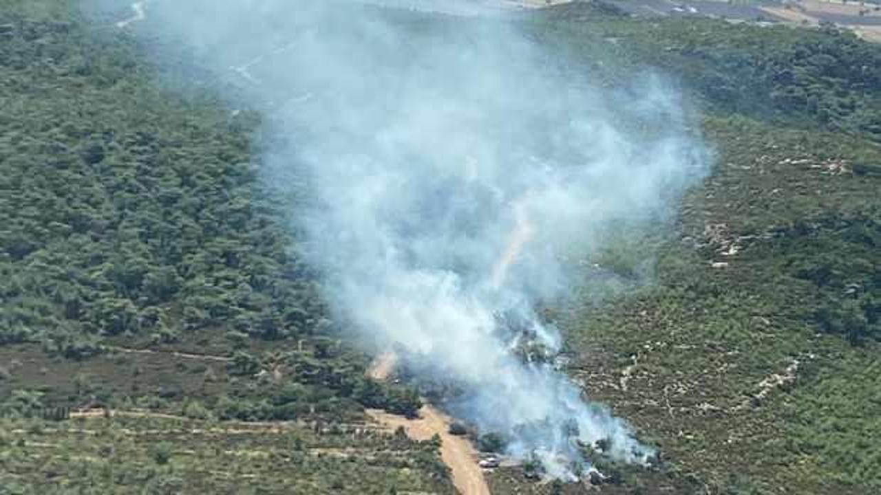 Son Dakika: İzmir'de orman yangını!
