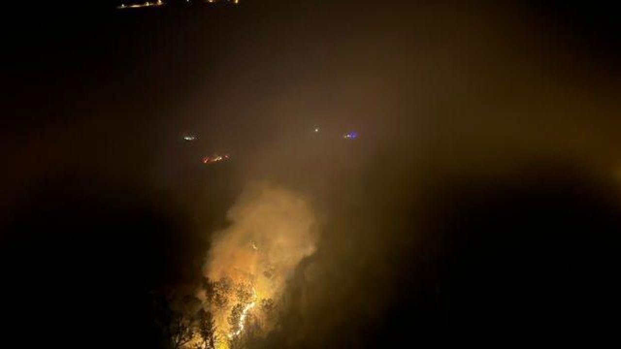 Karabük'te çıkan orman yangını kısmen kontrol altına alındı