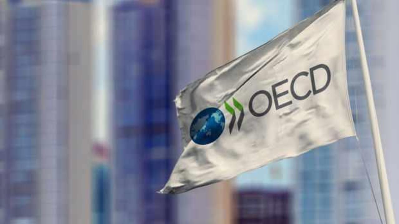 OECD'den Türkiye'nin büyümesi için yeni tahmin