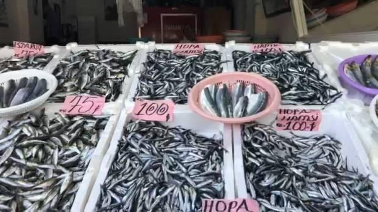 Sezonun ilk yerli hamsisi 100 TL&rsquo;den tezgahtaki yerini aldı