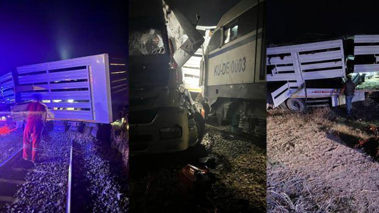 Diyarbakır’da feci kaza! Yük treni koyun yüklü TIR’a çarptı