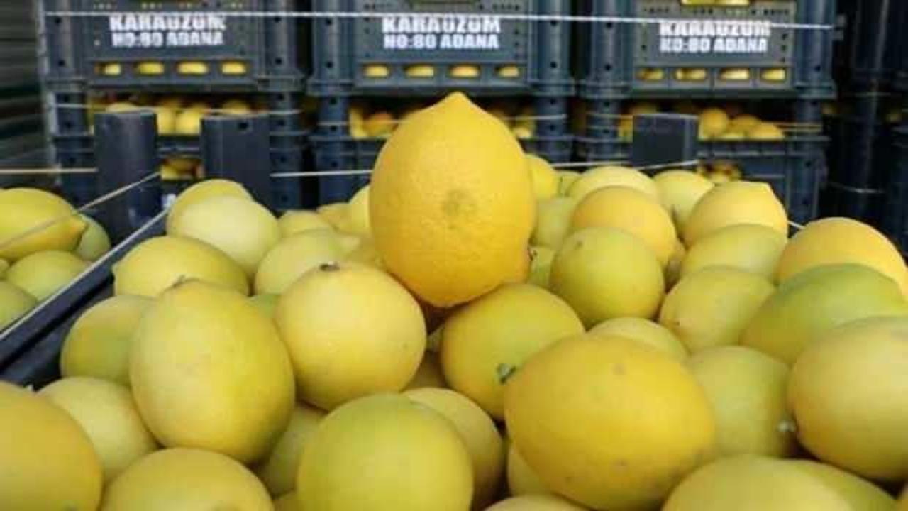 Limonda üretici-market fiyatı farkı 4,5 kat