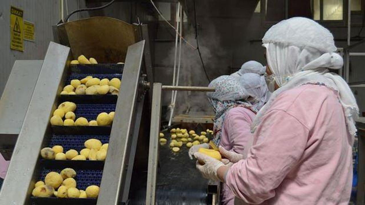 T&uuml;rkiye'nin en b&uuml;y&uuml;k 500 şirketinden 94'&uuml; gıda sekt&ouml;r&uuml;nden