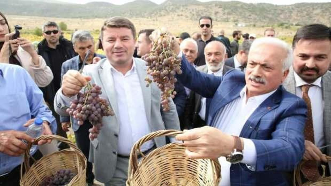 Aksaray'da 2. Geleneksel Bağ Bozumu Festivali yapıldı