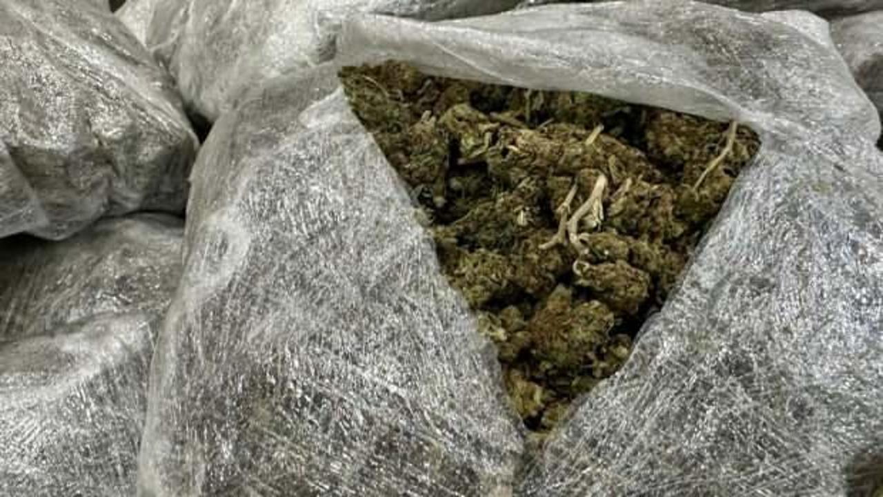 Diyarbakır'da 257 kilo skunk ele geçirildi