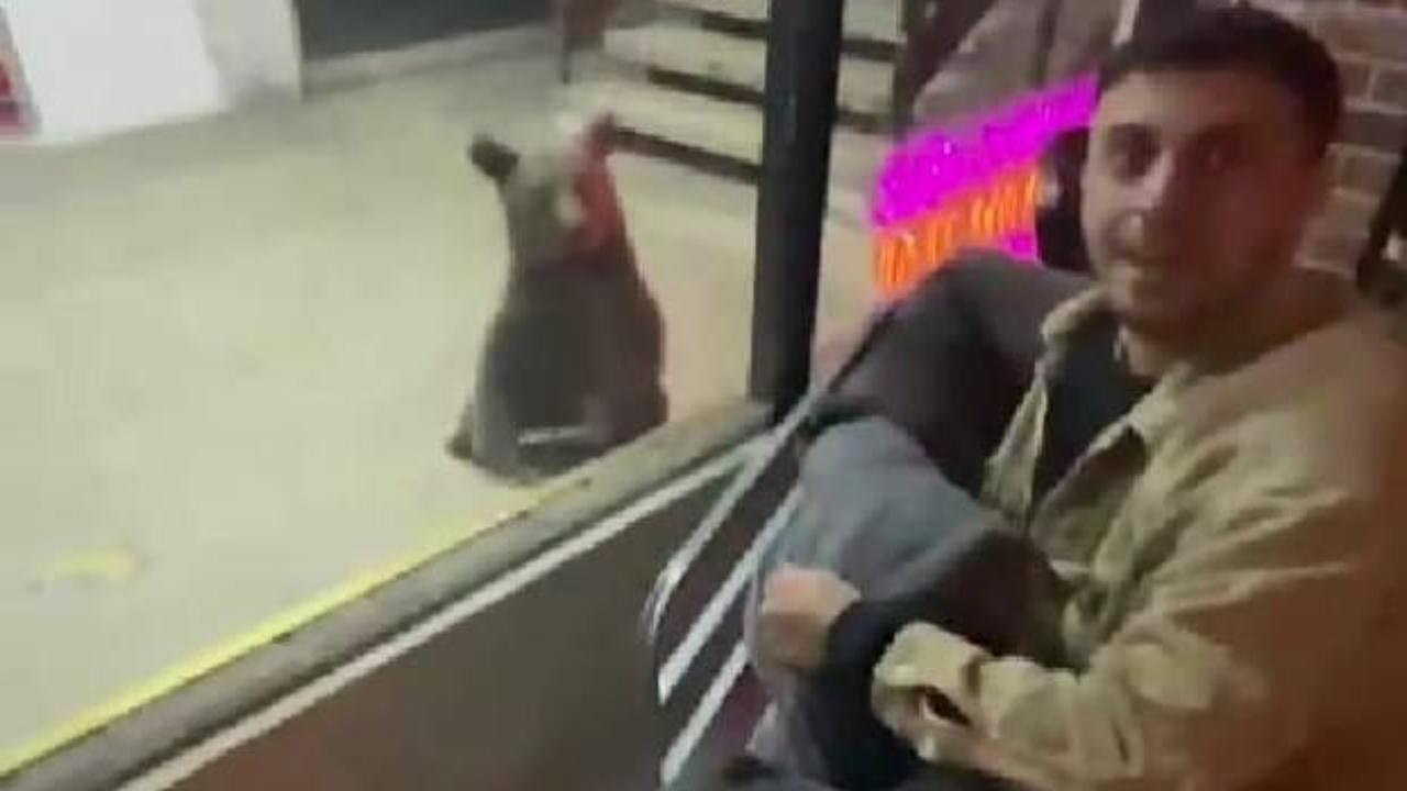 Karab&uuml;k'te korku dolu anlar! Ayılar şehri birbirine kattı