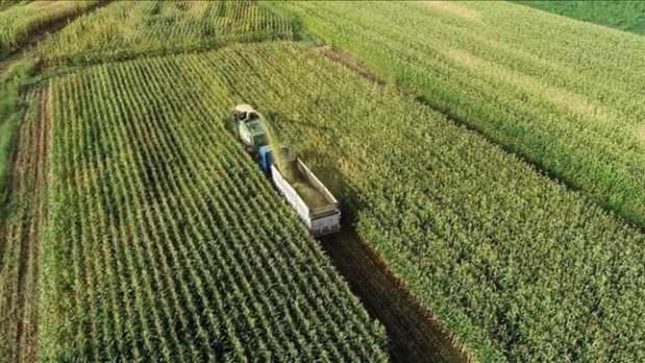 Tarım ÜFE eylülde aylık yüzde 4,47 arttı