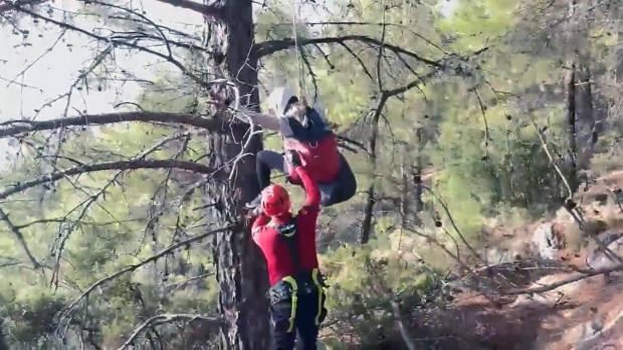 Fethiye'de yabancı uyruklu paraşütçü ağaçta asılı kaldı