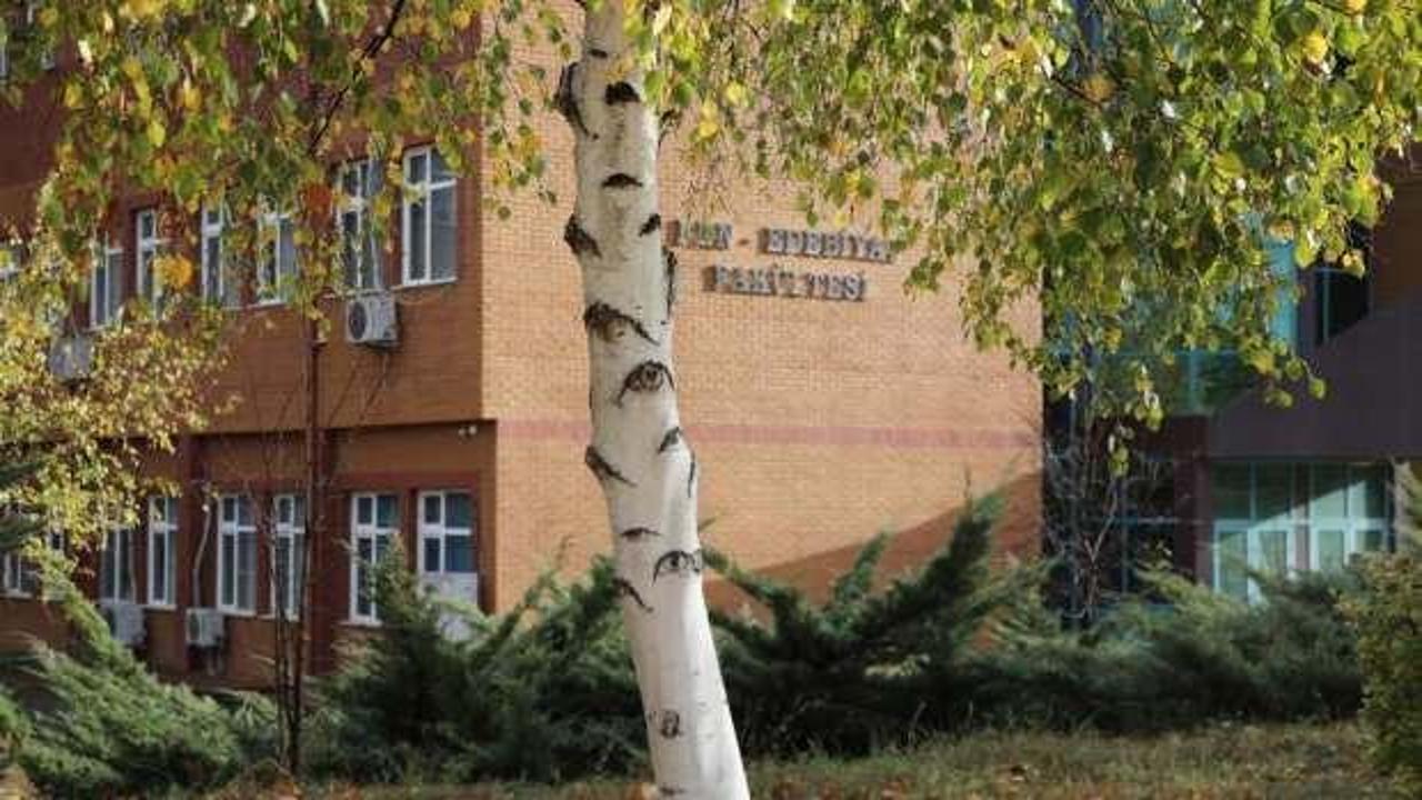 G&ouml;zleri olan ağa&ccedil; g&ouml;renleri hayrete d&uuml;ş&uuml;r&uuml;yor