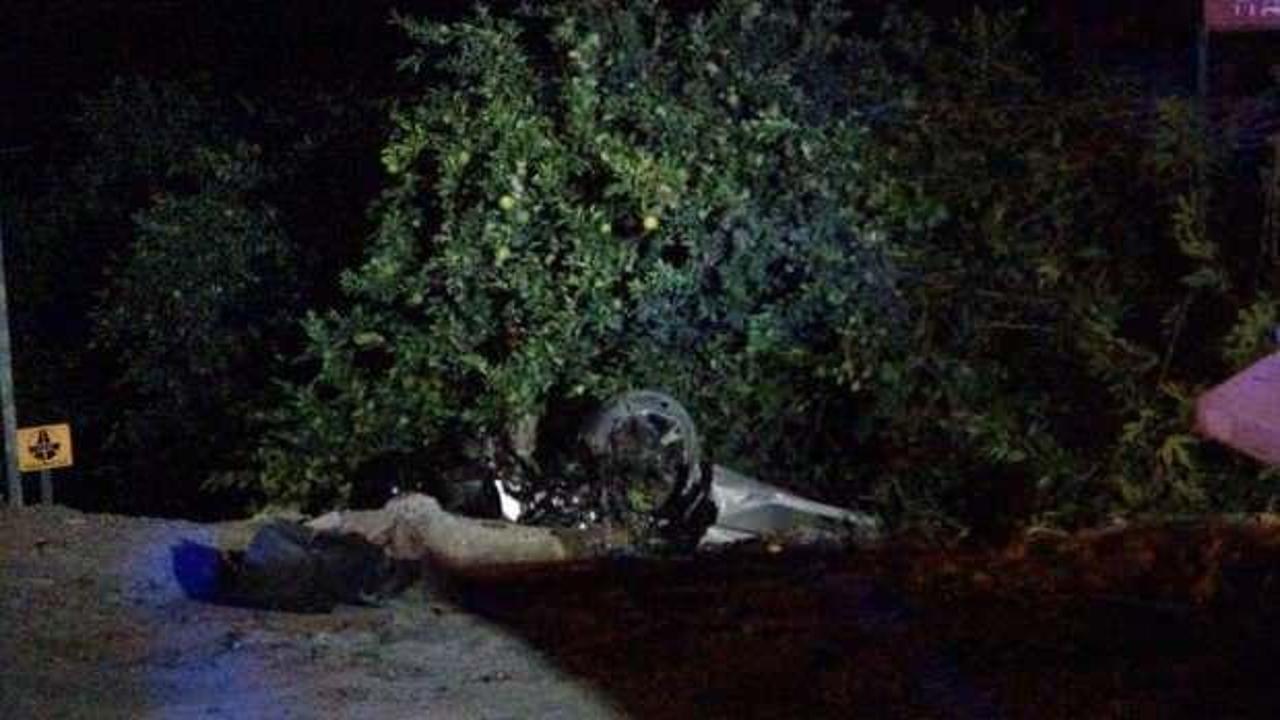 Yola &ccedil;ıkan k&ouml;pekler ardı ardına iki kazaya neden oldu: 1 &ouml;l&uuml;, 2 yaralı