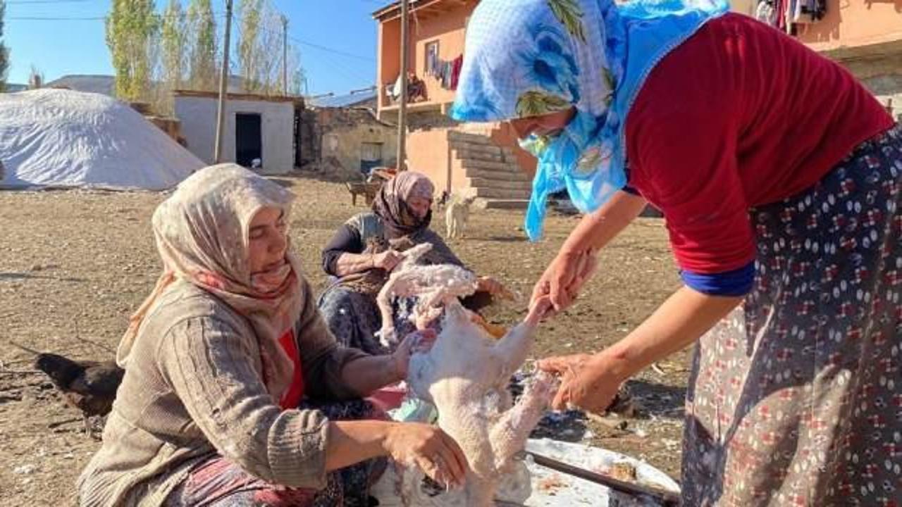 Mesai başladı! Kars kazlarının tanesi 1200 TL