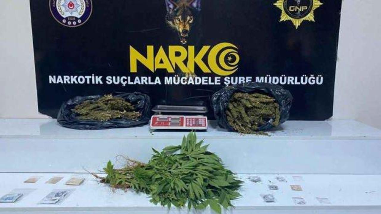 Gaziantep’te zehir tacirlerine büyük darbe: Gaziantep’te 41 kilo skunk ele geçirildi
