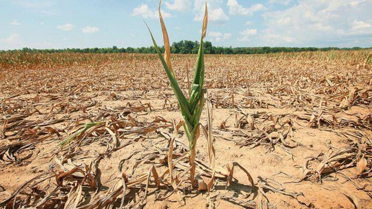 Türkiye'de tarımsal kuraklık nedir, kuraklıkla mücadele yöntemleri nelerdir? İSKİ Baraj doluluk oranları