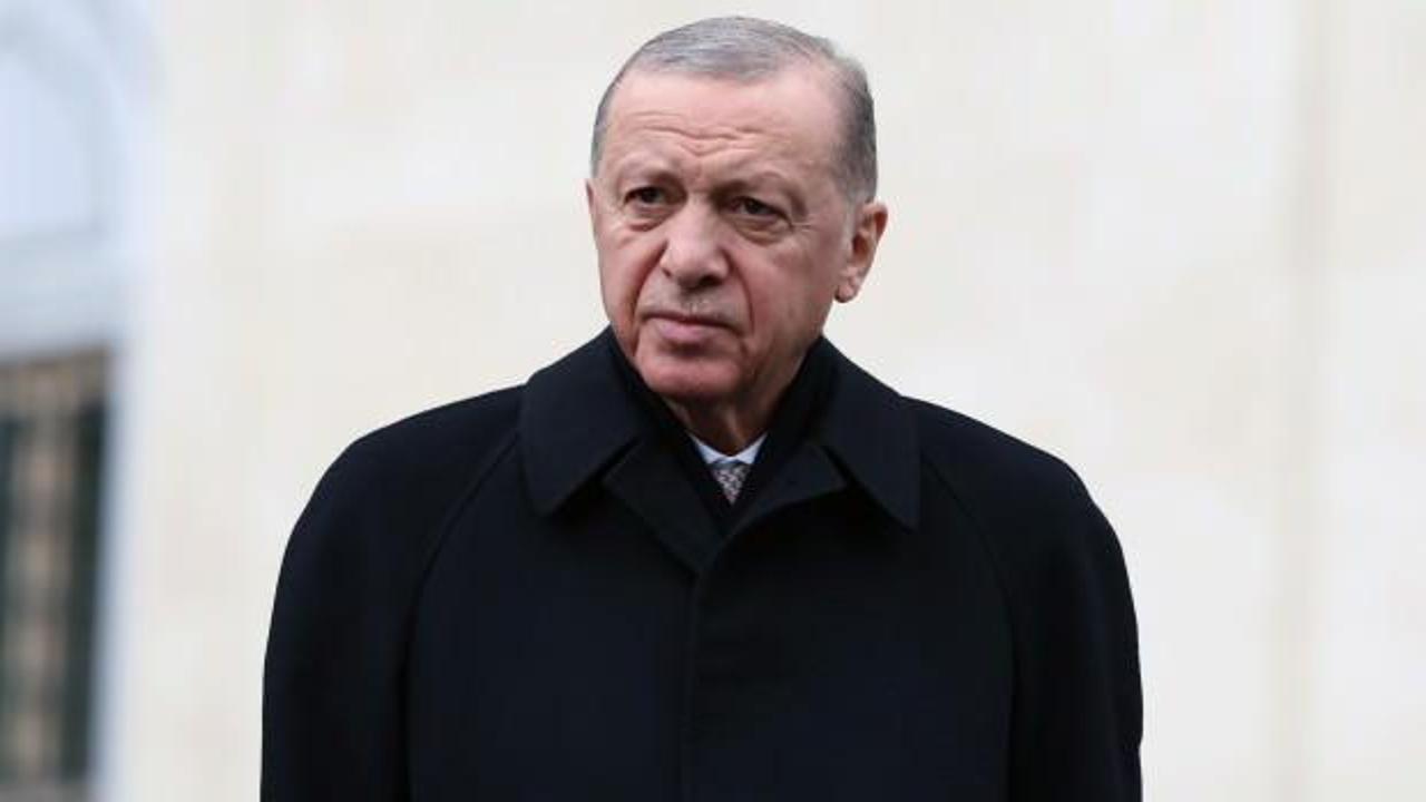 Cumhurbaşkanı Erdoğan öldürülen terörist sayısını açıkladı