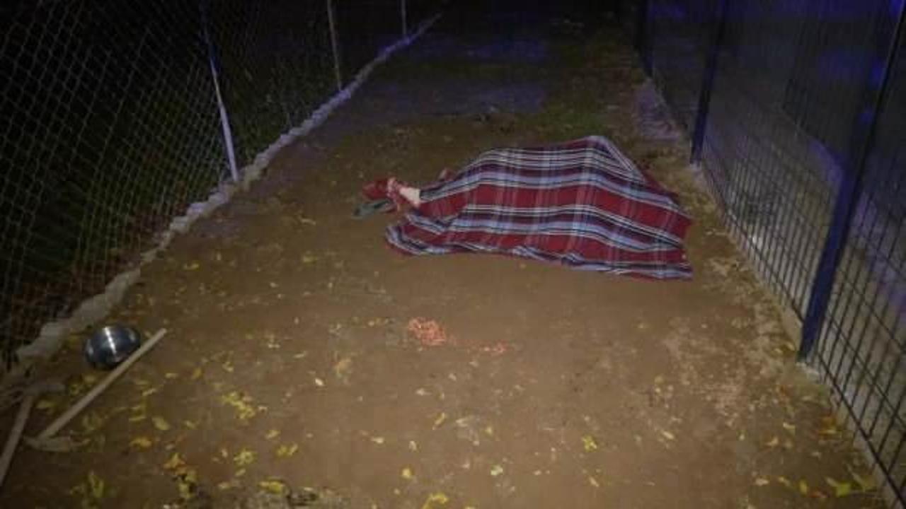 Soğan ekmek i&ccedil;in gittiği bah&ccedil;ede hayatını kaybetti