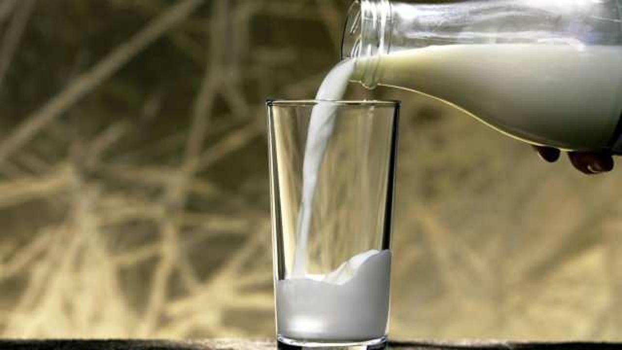 Toplanan inek sütü miktarı ekimde yıllık bazda yüzde 8,2 arttı