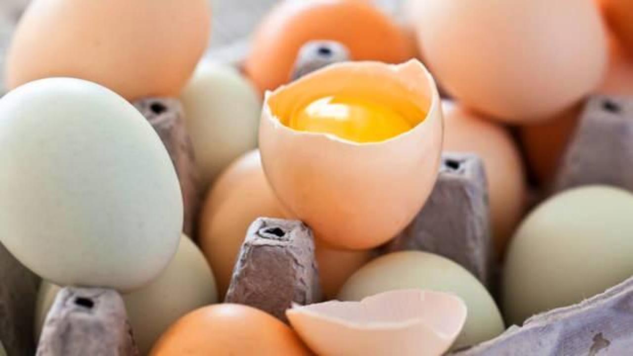 Yumurta kabuğu faydaları: Yumurta kabuğu nasıl kullanılır, bitkilere nasıl verilir?
