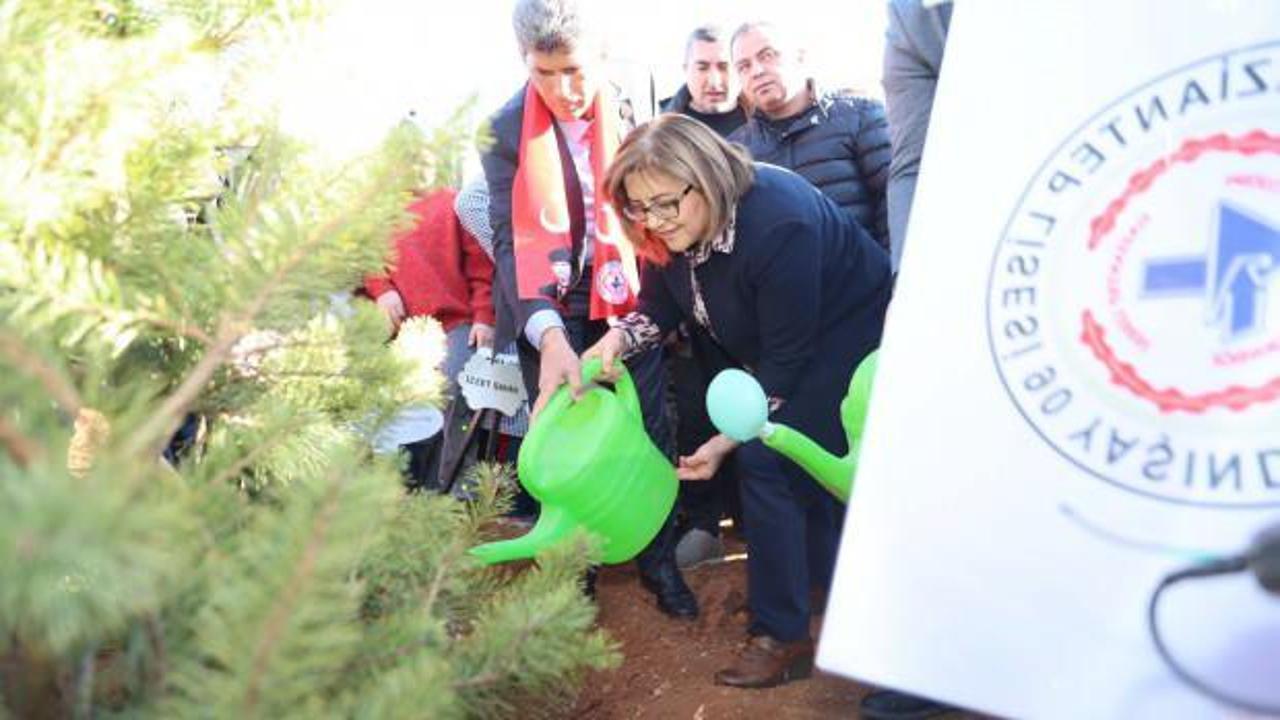 Gaziantep’te proje kapsamında 15 bini aşkın ağaç dikildi