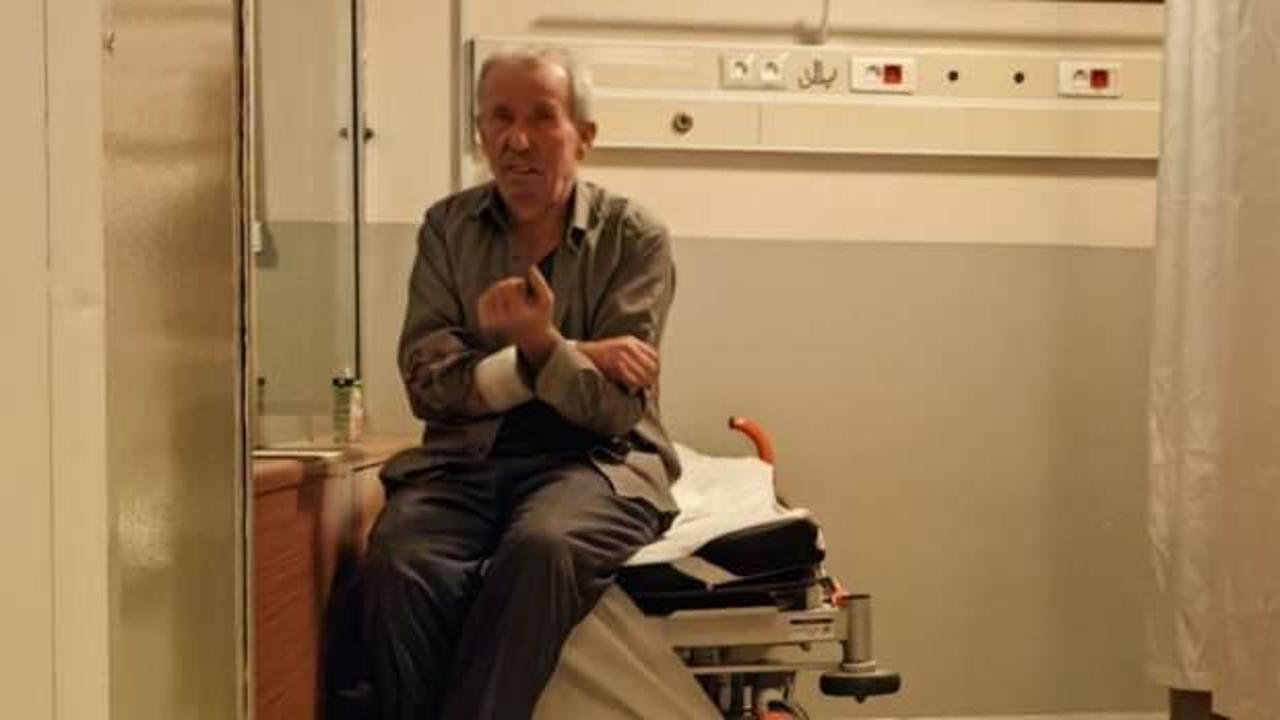 Beslediği k&ouml;peğinin saldırısına uğradı! Kolu par&ccedil;alandı