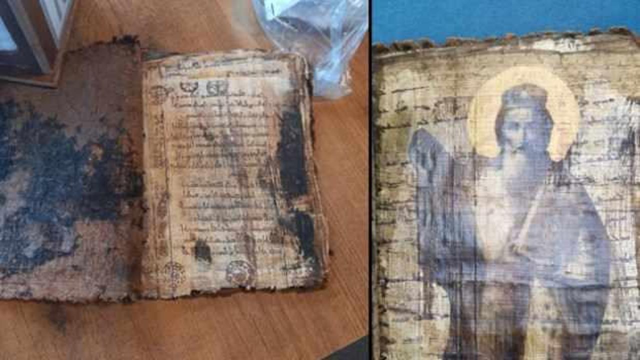 B&ouml;ylesi hi&ccedil; g&ouml;r&uuml;lmedi: Değeri tam 10 milyon dolar