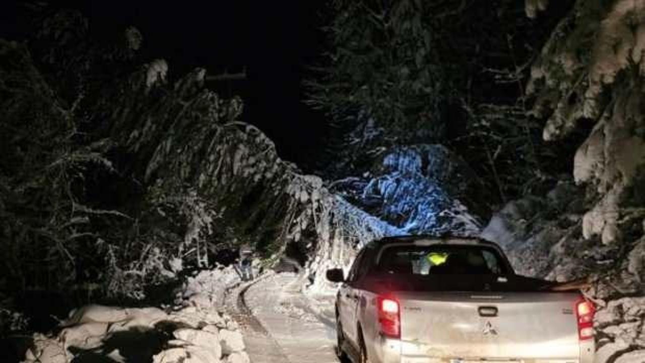 Karabük'te fırtına! Direkler devrildi, 18 köye elektrik verilemiyor